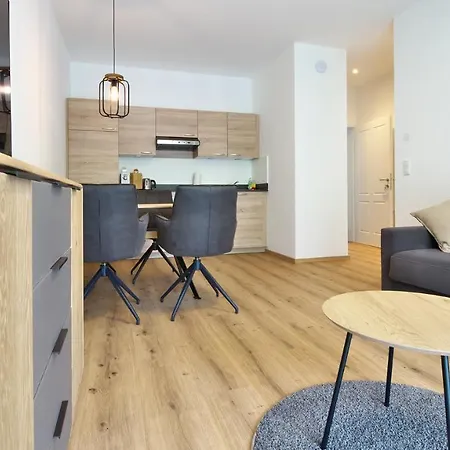 Seppenbauer 公寓 巴德伊舍