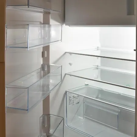 Seppenbauer 公寓 巴德伊舍